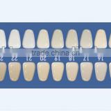 Teeth whitening plastic shade guide with 24shades,dental tooth shade guide, paper shade guide, paper whitening teeth shade guide