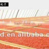 High Quality Dried Raw Goji Berries thumbnail-6