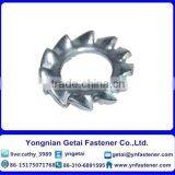 Stainless Steel External Teeth Serrated Lock Washers DIN6798 GB862.2 thumbnail-2