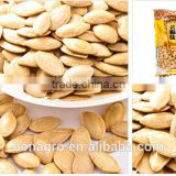roasted & salted shine pumpkin seed very delicious