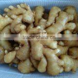 Yellow Color Fresh Ginger thumbnail-1