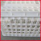 Chicken Transport Trays thumbnail-5