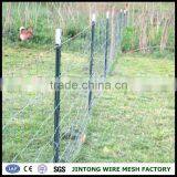 Galvanized Square Wire Mesh China Cattle Yard Panel With Gate Animal Wire Mesh Fence for Livestock thumbnail-6