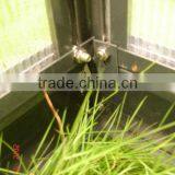 Homely Prefab Vegetable Seeds Used Commercial Greenhouse HX65126-1 thumbnail-6