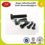 Custom Metal Rigging Screw Galvanize Can OEM&ODM (Custom Inner Hexagon Screws / High Strength) thumbnail-6