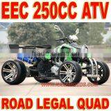 EEC 250cc Racing ATV thumbnail-1