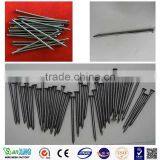 Galvanized common nails polished common nails factory price