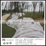 Anti-UV 18gsm 2m*200 Gardening Cover Non Woven Made in Zhejiang thumbnail-1