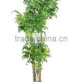 SJ12001162 Wholesale Mini Plam Artificial thumbnail-4