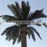 SJ07011102 Wholesale Tree Leave Outdoor/High Initation Plam Tree Leave/decorative Palm Leaves thumbnail-1