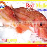 WHOLE FROZEN RED MULLET