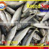 FROZEN MARUADSI (ROUND SCAD) thumbnail-5