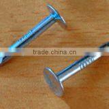 Galvanized Cupper Nails With Factory Price thumbnail-1