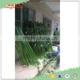 High Quality 6cm Outdoor New Green Chinese Plastic Leave Artificial Bamboo Poles Plants thumbnail-5