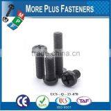 Made in Taiwan Hex Socket Plastic Cap Screw Cross Recess Pan Head Plastic Material Screw thumbnail-6