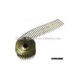 VC Coil Screw Nails