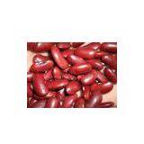 Sell Red Kidney Beans thumbnail-1