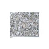 G636 Light Pink thumbnail-1