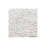 Sell White Kidney Beans thumbnail-1