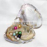 2017 New Colored Freshwater Cultured Pearl Oyster Dyed Fashion Design thumbnail-1