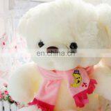 Wholesale Unstuffed Teddy Bear Skins Plush Teddy Bear thumbnail-5