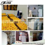 Good Performance Small Herb Dryer/pine Nuts Microwave Drying Machine thumbnail-5