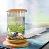 Desktop Eco Bottle Creative Office Tempered Glass Micro Landscape Tank Rotating Bedroom Fish Tank Fish Tank Mini Small thumbnail-7