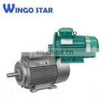 Three-phase 5hp 690v Electric Motor for Sale thumbnail-5