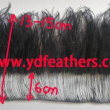 Burnt Ostrich Feather Fringe/Trim Sewn On Cord From China For Wholesale