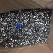 Zinc Coated Umbrella Head Roofing Nails thumbnail-3