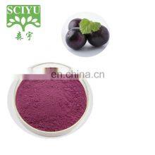 Hot Sale Acai Berry Juice Powder Acai Berry China
