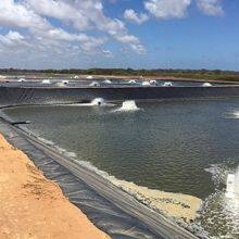 0.50mm Thick HDPE Geotextile Film for Raising Shrimp in High Water Ponds thumbnail-5