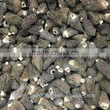 High Quality Dried Wild Morchella/Morel Mushroom From Yunnan China thumbnail-5