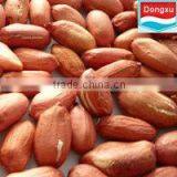 Bulk Fair Trade Red Skin Peanut Kernel