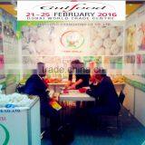 Hot Sale Best Quality Fresh Ginger thumbnail-2