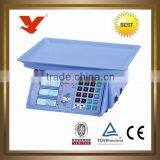 Sensitive Balance and Scales thumbnail-1