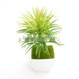 Wholesale High Quatity Artificial Decorative Succulent Plants,cheap Artificial Plants thumbnail-2
