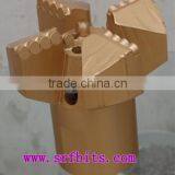 4 Wings Step Drag Bit