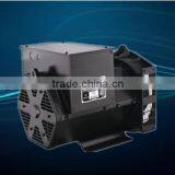 16kw Single Phase Generator/single Phase Alternator 16kw/16kw Single Phase Alternator AC Brushless Synchronous Alternator