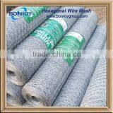 Low Price Heavy Duty Chicken Wire Netting for Sale