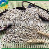 Roasted Salted Snack Chinese Sunflower Seed Kernel Small Packing 5009/3638/0409/363 thumbnail-1