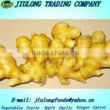 Fresh Ginger Price China Hot Sale thumbnail-1