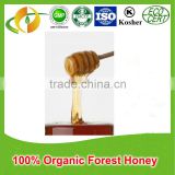 Orangic Forest honey