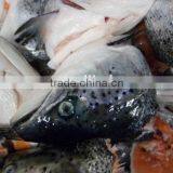New Arrival Frozen Atlantic Salmon Head for Sale thumbnail-1