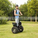 Auto Electric Chariot Electric Scooter 2 Wheel