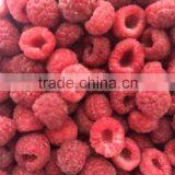 IQF Frozen Raspberry