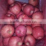 Fresh Apples thumbnail-4