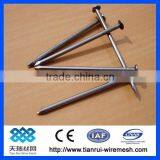 Common Nail/polished Nail/galvanized Nail thumbnail-4