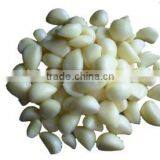 OULENO Manufacturers Supply Multifunctional Cutting Cut Ginger Siji Qiecai Machine Cut Bamboo Shoots and Ginger Shred Sausage ca thumbnail-3