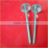 Top Quality Umbrella Head Twisted Roofing Nails Trusted Chuanghe Suppliers From Com thumbnail-2